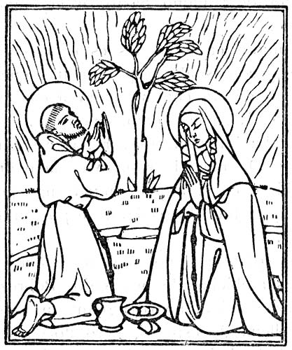 04. La comida en el bosque