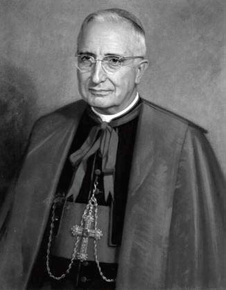 D. Marcelino Olaechea