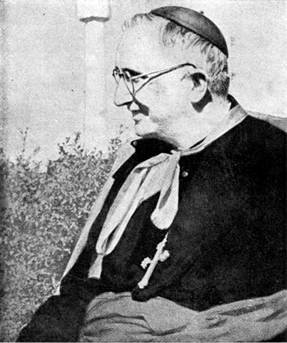 D. Marcelino Olaechea